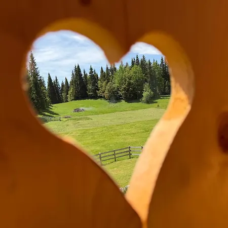 Praprotnica Pokljuka Srednja Vas v Bohinju