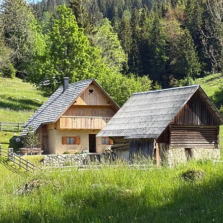 Praprotnica Pokljuka Brvnara *