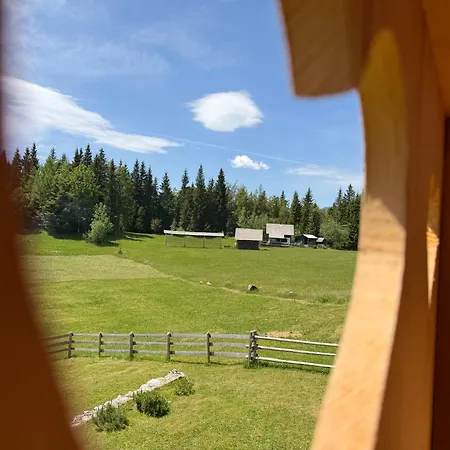 Praprotnica Pokljuka *